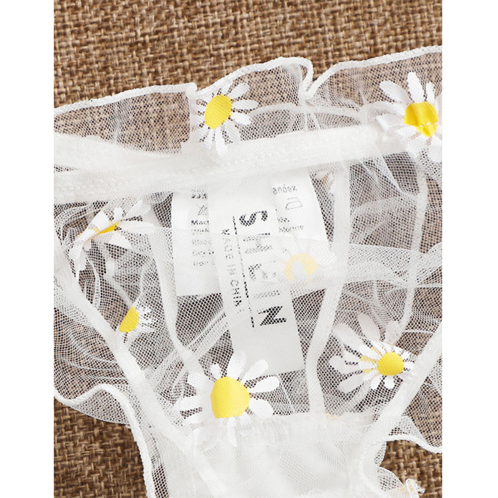 Sexy Lace Transparent Lingerie - огляд і ціна Sheer Bra Lace